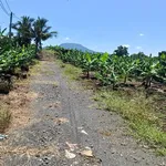 Bán đất Bàu Hàm 5870m² sổ riêng - Ảnh thu nhỏ 5