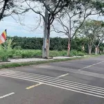 Bán đất 150m² sổ riêng tại Dầu Giây, Đồng Nai, 869 triệu - Ảnh thu nhỏ 3