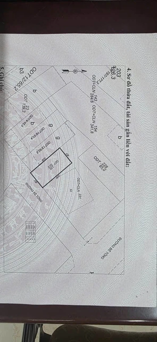 Bán đất 50m² mặt tiền 5m khu bãi muối Nhà Bè - Ảnh 1