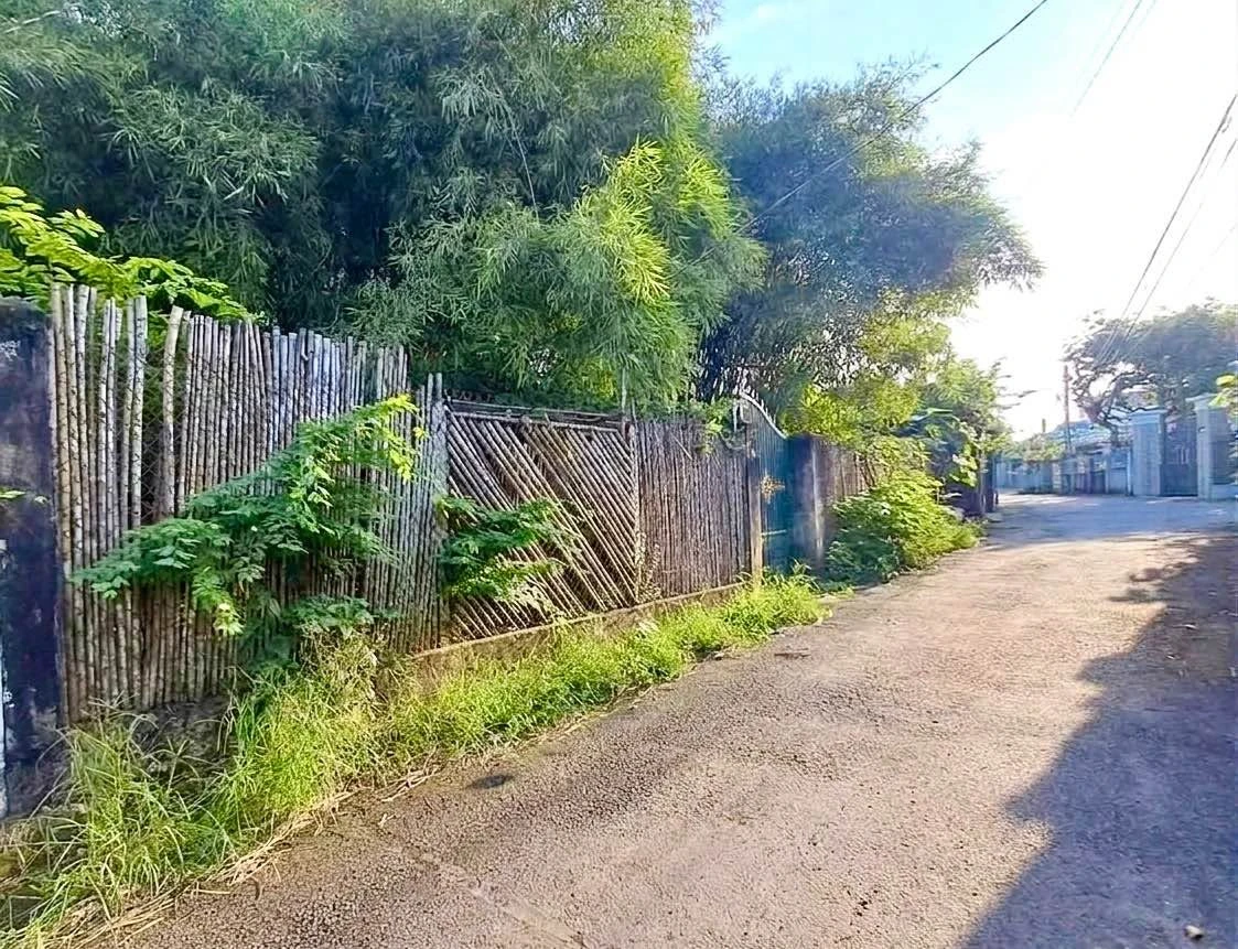 Bán đất vườn Định Hoà Chánh Hiệp trên 1000m2, giá 5,9 tỷ - Ảnh thu nhỏ 3