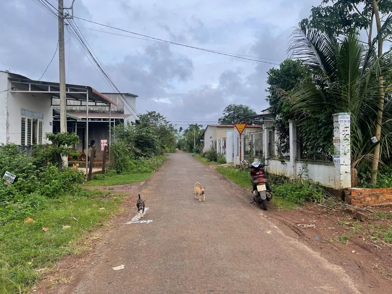 Bán đất 100m² Phan Thiết, Ocean Dunes gần biển 5 tỷ pandudara