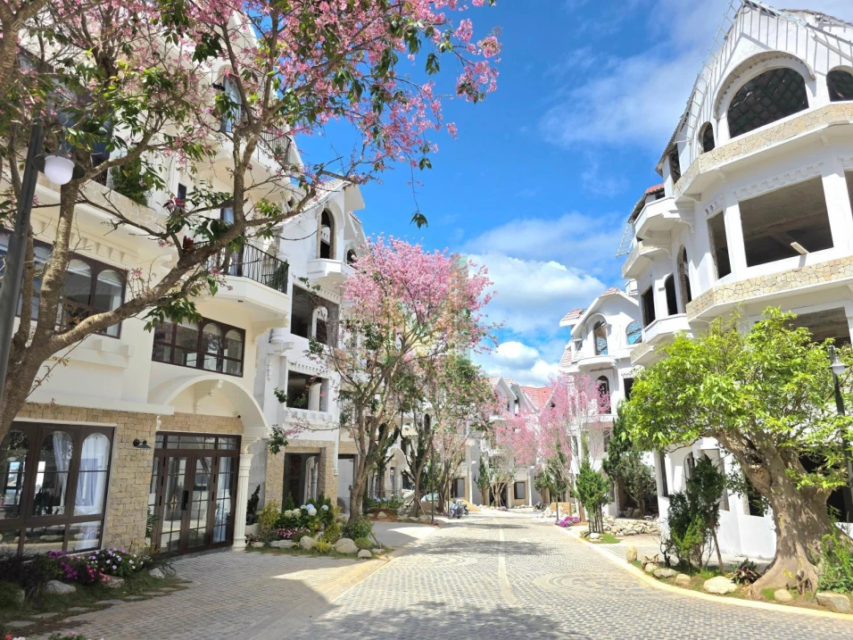 Chính chủ đầu tư mở bán khu biệt thự Đà Lạt phong cách Pháp, với tên gọi "La Cerise Dalat Villas - Ảnh thu nhỏ 4