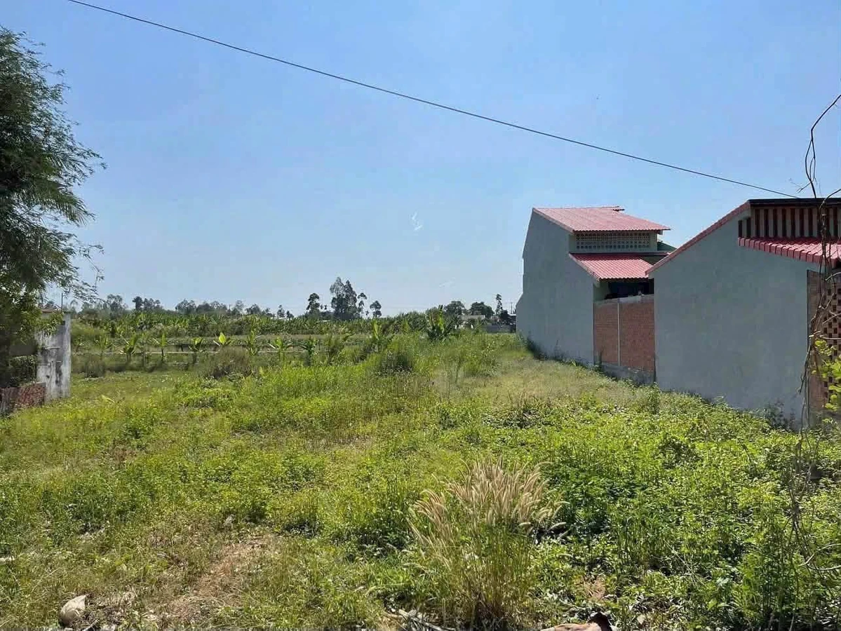 Bán đất mặt tiền 1815m2 Lấp Vò, Đồng Tháp, 4 tỷ - Ảnh 1