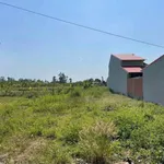 Bán đất mặt tiền 1815m2 Lấp Vò, Đồng Tháp, 4 tỷ - Ảnh thu nhỏ 1