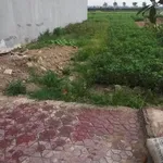 Bán đất 100m2 Xã Cộng Hoà 1.5 tỷ - Ảnh thu nhỏ 3