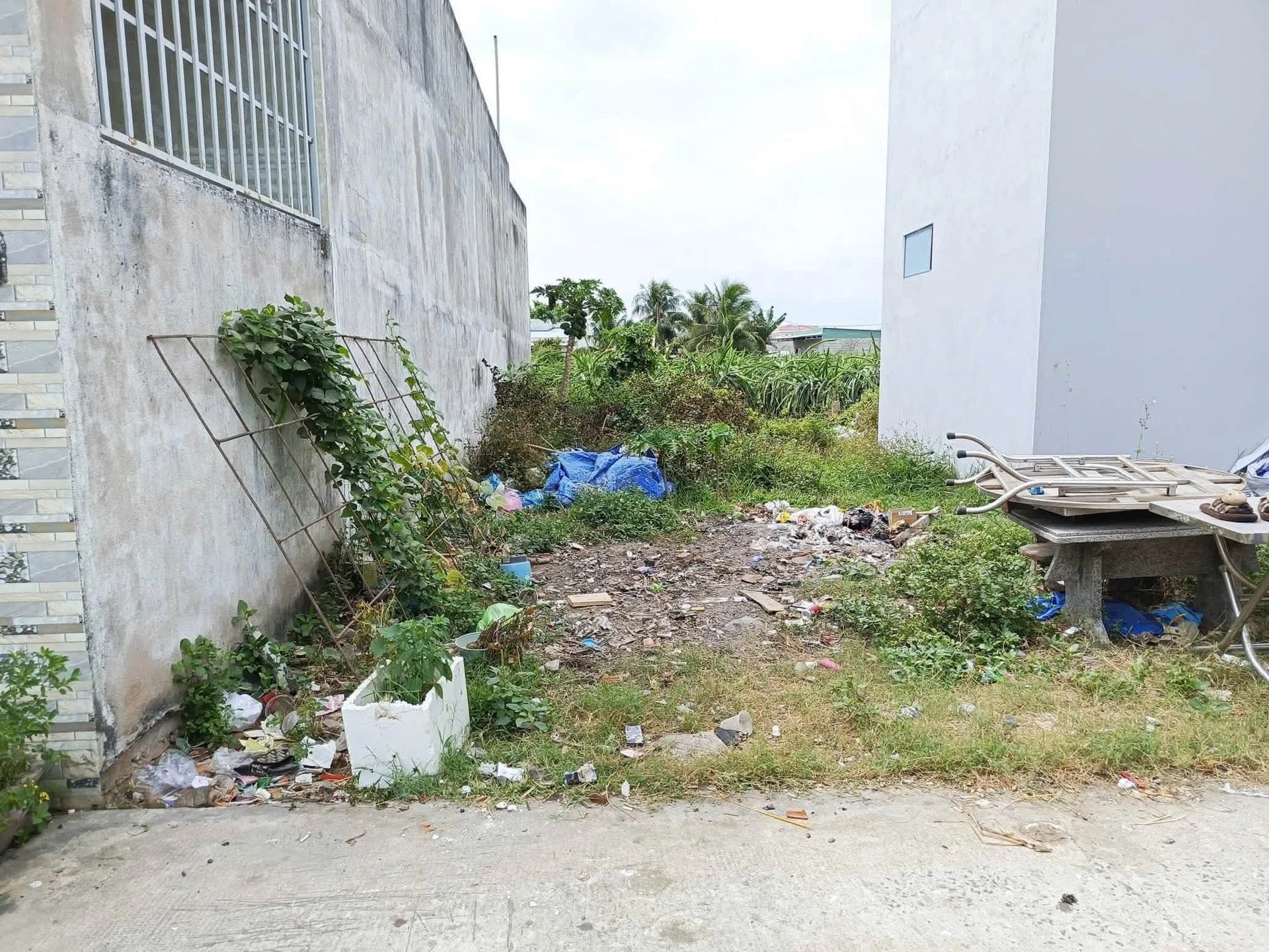 Bán lô đất Tiến Lợi, Phan Thiết, 61m², 500 triệu - Ảnh 1