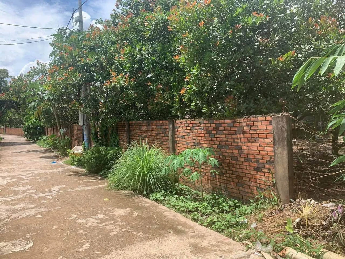 Bán đất Ấp 4 Tân Thành Đồng Xoài 1800m2 790 triệu - Ảnh thu nhỏ 2