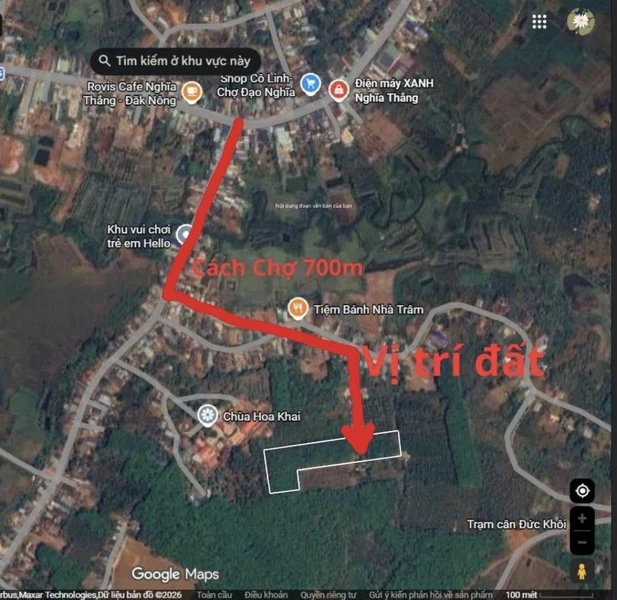 Bán 1,6 ha đất vườn trồng cao su gần chợ Đạo Nghĩa, Kiến Đức, Lâm Đồng