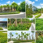 Mở bán đợt 1 dự án Times Riverside. Liên hệ Em Trường CĐT để chọn lô đẹp. - Ảnh thu nhỏ 7