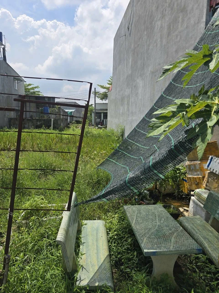 Bán đất thổ cư 5x17m sổ hồng đối diện cổng Ecity Tân Đức, Hựu Thạnh, Đức Hòa - Ảnh thu nhỏ 3