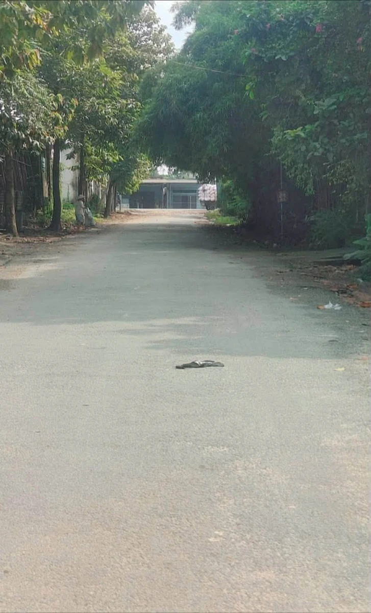 Bán lô đất 4800m² mặt đường 8m Phú An Bình Chánh 3 tỷ 480 - Ảnh thu nhỏ 4