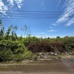 Bán đất Bến Lội Lại An 100m² - 1,4 tỷ - Ảnh thu nhỏ 2