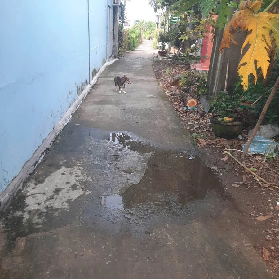 Bán đất thổ cư 8x32m hẻm xe hơi đường Võ Văn Môn, phường Long An, Tây Ninh - Ảnh thu nhỏ 3