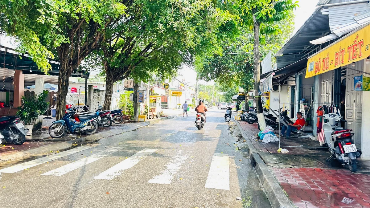 Bán nền đất mặt tiền Lê Hồng Gấm 105m², giá 2 tỷ, Quận 1 - Ảnh thu nhỏ 3