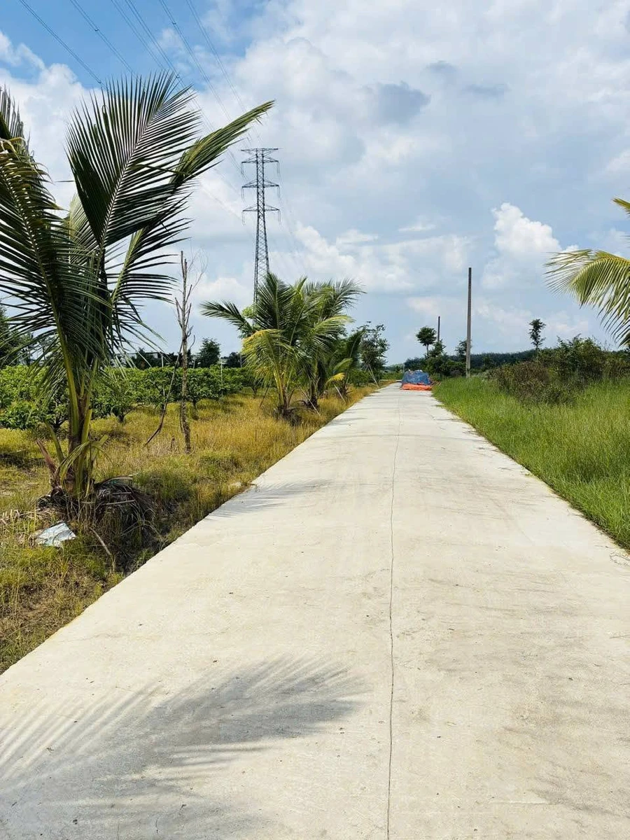 Bán đất Tây Ninh xã Phan Dương 52m², 195 triệu - Ảnh thu nhỏ 2
