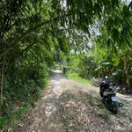 Thiện chí bán đất gần núi Két, Chợ Nhà Bàng, Tịnh Biên An Giang - Ảnh thu nhỏ 8