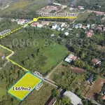 Bán đất 1469m2 (200m2 thổ cư) đường Long Thuận, Long Phước, Thủ Đức, giá 17,6 tỷ - Ảnh thu nhỏ 4