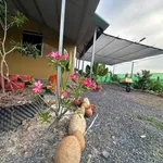 Bán nhà vườn 1000m2 Đức Huệ Long An, 1 tỷ 590 - Ảnh thu nhỏ 1