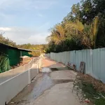 Bán trại heo 13.584 m² tại Tây Ninh, 11 tỷ - Ảnh thu nhỏ 5