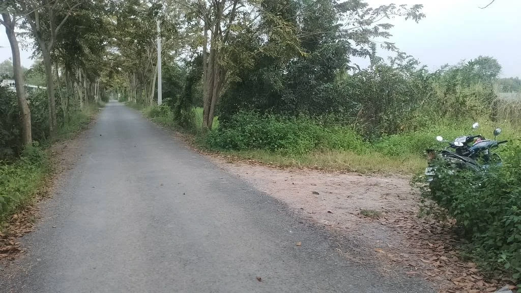Bán đất vườn 2 công giá 5 tỷ Bình Chánh - Ảnh thu nhỏ 4