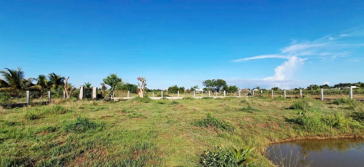 Bán đất 1250m² xây dựng hoàn toàn, cách Phan Thiết 4km - Ảnh thu nhỏ 5