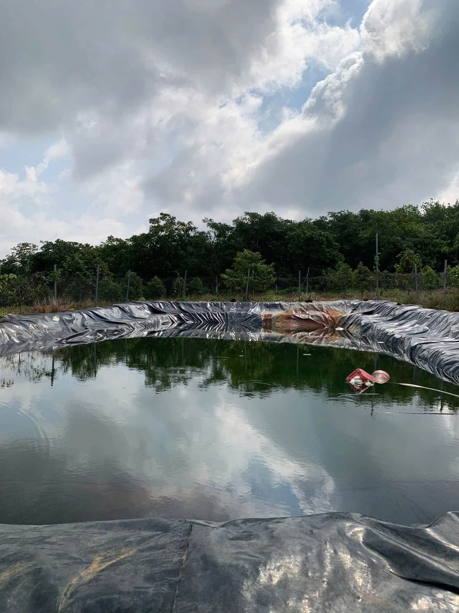 Bán vườn sầu riêng 1,2 ha có 100m thổ cư tại Phú Trung, Bình Phước giá 1,5 tỷ - Ảnh thu nhỏ 3