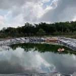 Bán vườn sầu riêng 1,2 ha có 100m thổ cư tại Phú Trung, Bình Phước giá 1,5 tỷ - Ảnh thu nhỏ 3
