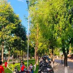 Bán đất mặt tiền Nguyễn Tự Tân Quảng Ngãi 100m2 4 tỷ - Ảnh thu nhỏ 4