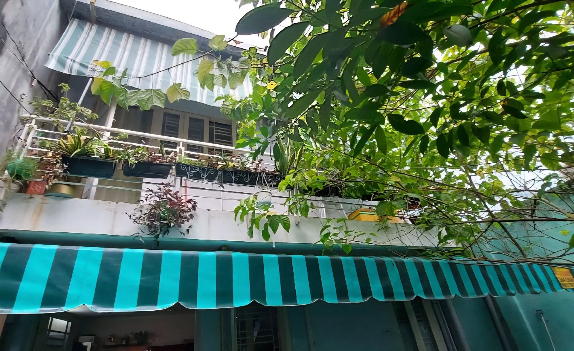 Bán nhà mặt tiền kinh doanh 6 tầng 115m2 đường Lũy Bán Bích, Tân Phú, giá 19,5 tỷ khach4 - Ảnh 1