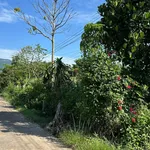 Bán đất 200m² (5x40m) Phường Xuân Lộc Bình Dương 650 triệu - Ảnh thu nhỏ 1