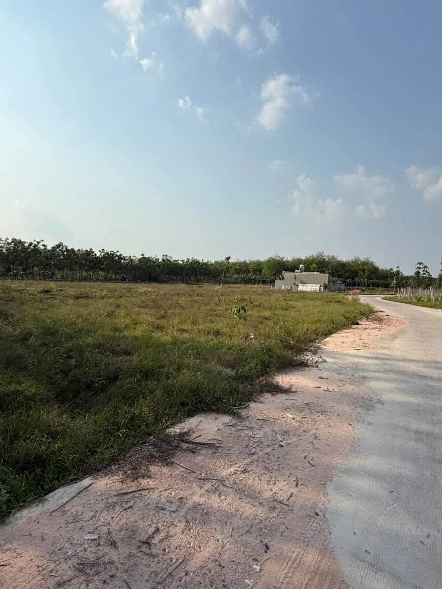 Bán đất 2500m2 tại Chánh Phú Hoà Bến Cát Bình Dương - Ảnh thu nhỏ 3