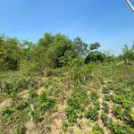 Bán lô đất nghỉ dưỡng bám suối 400m² tại Cao Dương - Ảnh thu nhỏ 1