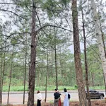 Siêu phẩm đẹp trên đồi đẹp, view rừng thông, xung quanh toàn khách sạn - Ảnh thu nhỏ 1