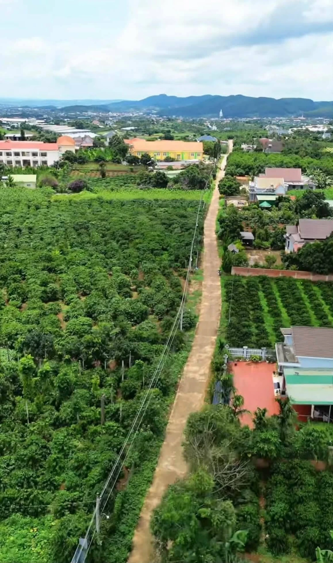 Bán đất Nam Ban Lâm Hà 1.000m² sổ hồng 1,45 tỷ - Ảnh 1