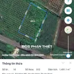 Bán đất 1.491m² mặt tiền DT707, Phú Hưng, Lâm Đồng - Ảnh thu nhỏ 4