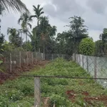 Bán đất 180m² Đắk Lắk, đường Mai Xuân Thưởng, 1 tỷ 990 triệu - Ảnh thu nhỏ 2
