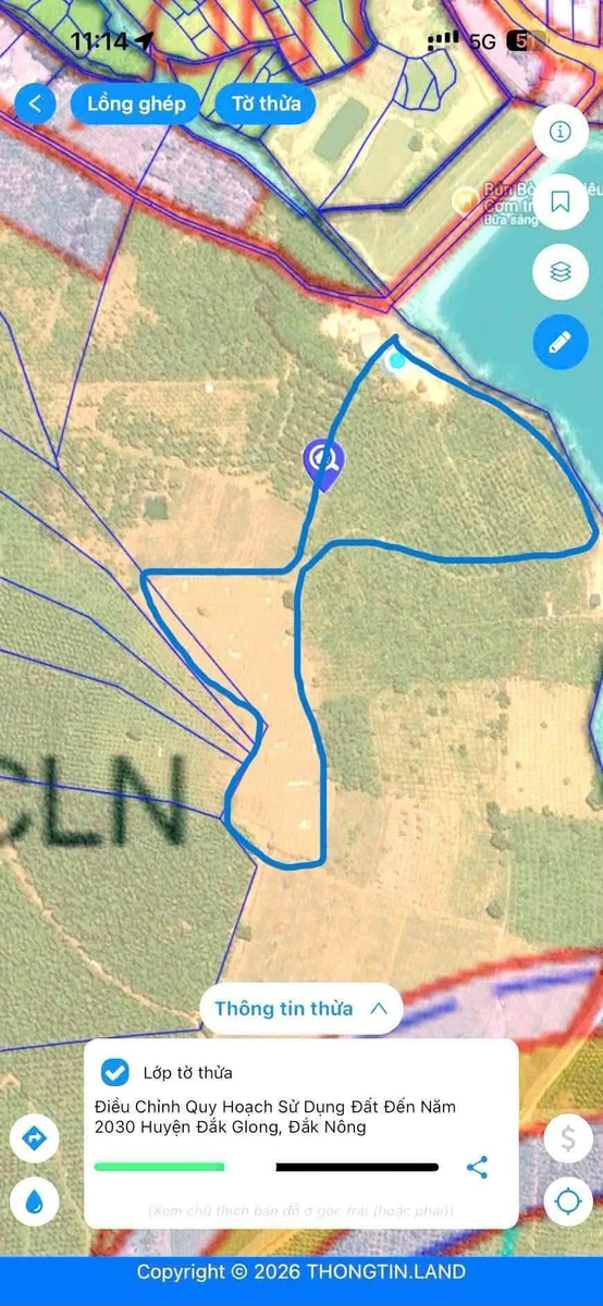 Bán đất nông nghiệp 2 hectare tại Bắc Gia Nghĩa, Lâm Đồng - Ảnh thu nhỏ 2