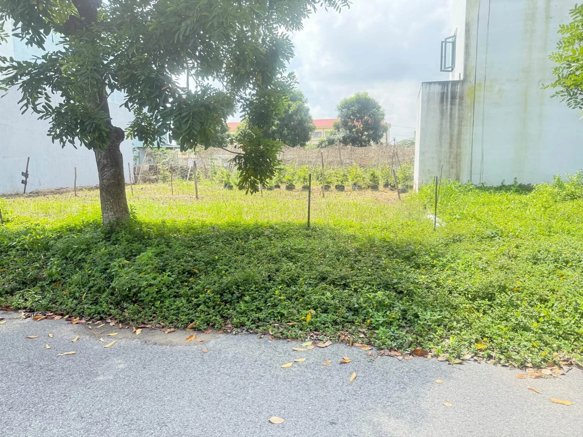 Bán đất 100m2 KDC 135 Thị trấn Bến Lức Long An - Ảnh 1