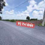 Bán đất vườn 500m2 mặt tiền kênh Mới Thạnh Lợi, Đức Hòa, Long An giá 580 triệu - Ảnh thu nhỏ 2
