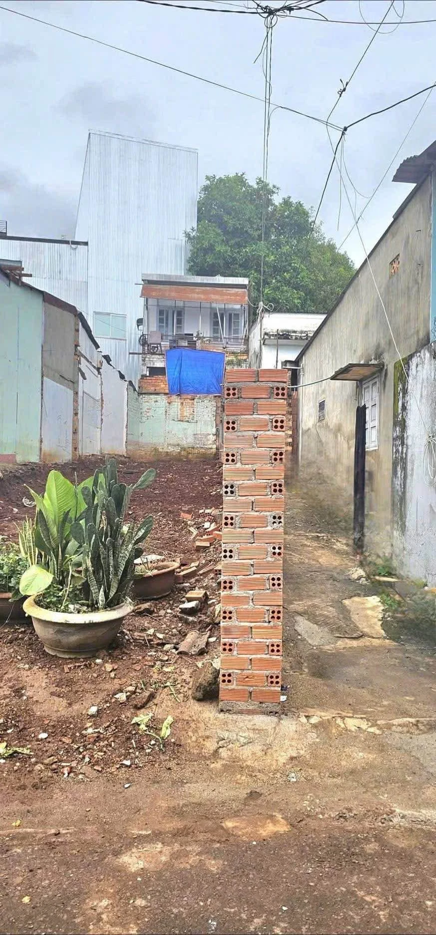 Bán đất thổ cư hai mặt tiền 260 Lê Hồng Phong, trung tâm Buôn Ma Thuột giá 3,3 tỷ - Ảnh 1