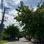 Bán dãy trọ mặt tiền Lê Sao 90.6m² Hòa Minh 4 tỷ - Ảnh thu nhỏ 1