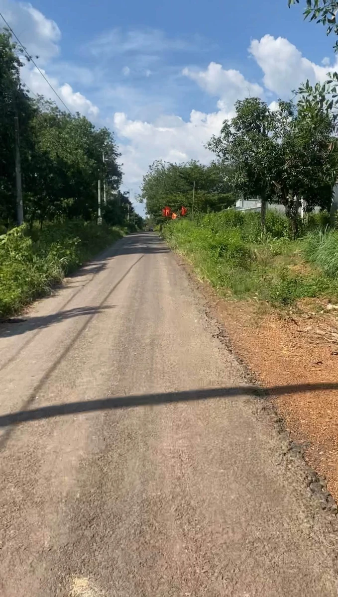 Bán 2,4ha đất cao su có nhà cấp 4, giá 3,5 tỷ, Đồng Tiến, Bình Phước - Ảnh thu nhỏ 3