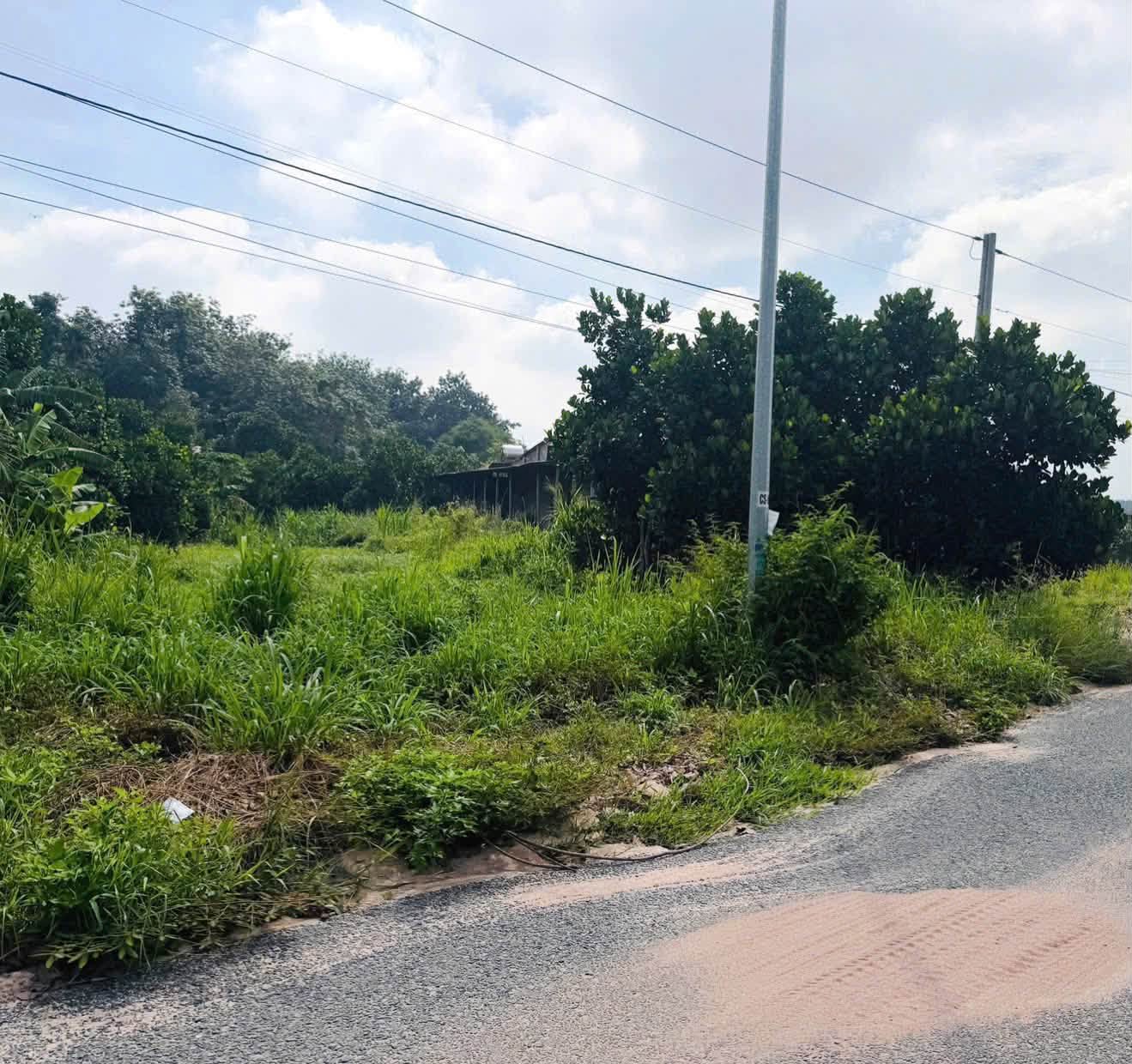 Bán đất mặt tiền Ngô Tất Tố Chơn Thành 500 m² - Ảnh thu nhỏ 2