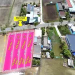 Bán đất thổ cư 226m² Tân Trụ, Tây Ninh, 1,3 tỷ - Ảnh thu nhỏ 2