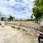 Bán lô đất 1.011m² sát Hương Lộ 45 Nha Trang 4 tỷ - Ảnh thu nhỏ 4