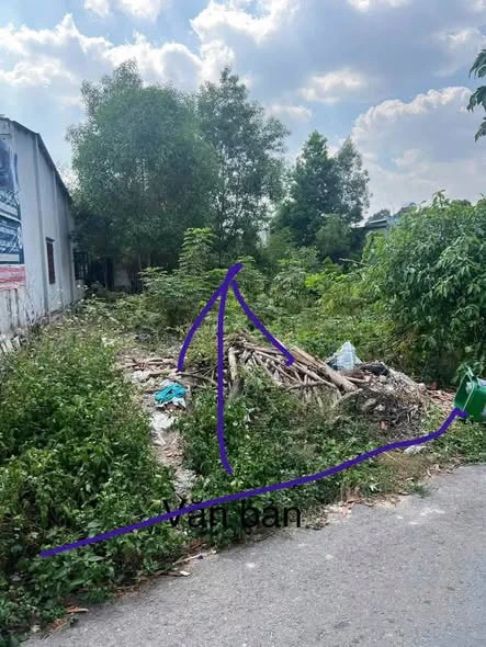 Bán đất Thủ Dầu Một 149m2 mặt tiền Huỳnh Văn Lũy 3.1 tỷ - Ảnh thu nhỏ 3