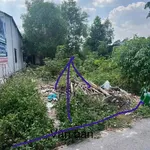 Bán đất Thủ Dầu Một 149m2 mặt tiền Huỳnh Văn Lũy 3.1 tỷ - Ảnh thu nhỏ 3