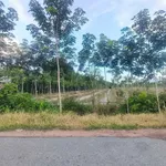 Bán 3 mẫu đất cao su Tây Ninh 1 tỷ 350/mẫu - Ảnh thu nhỏ 2