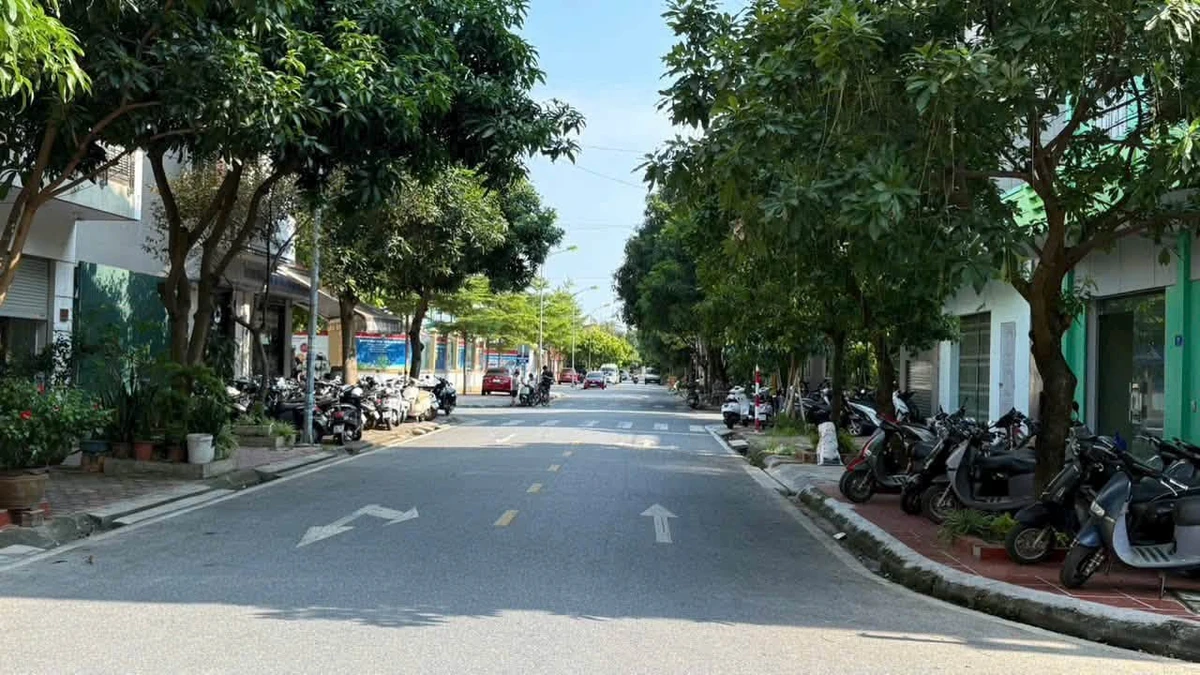 Bán lô đất mặt phố Trần Nguyên Đán 70m² giá 4.5 tỷ Quận 12 - Ảnh thu nhỏ 4