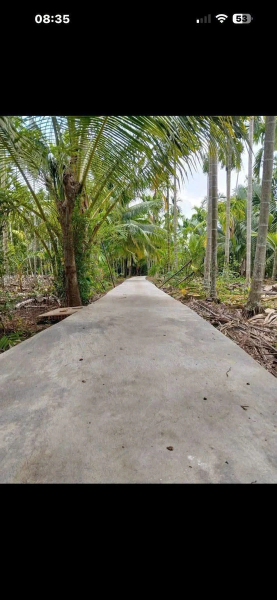 Bán đất Lương Hòa Vĩnh Long 1800m2 giá 1tỷ290 - Ảnh 1